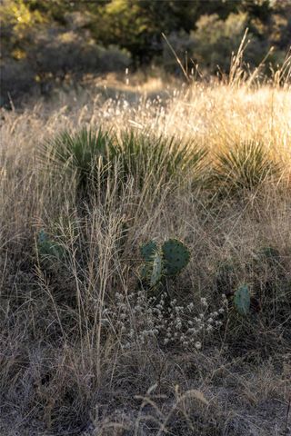 TBD W RR 962, Round Mountain, TX 78663