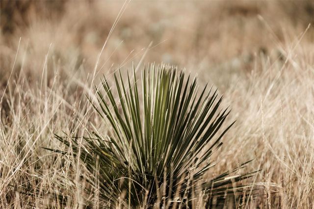 TBD W RR 962, Round Mountain, TX 78663