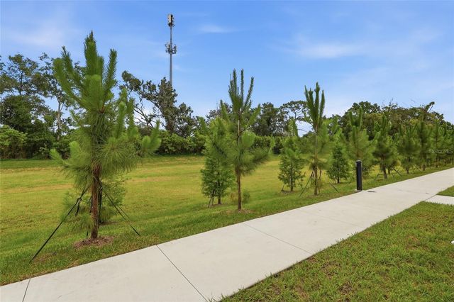 4369 CAMBIO GARDENS COURT, Tampa, FL 33610