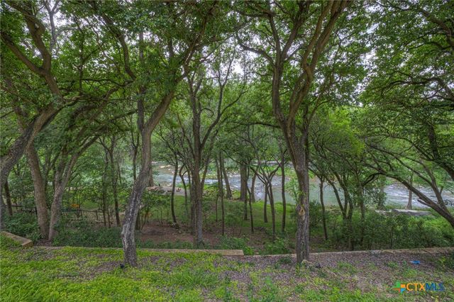 1029 Gruene Road, New Braunfels, TX 78130