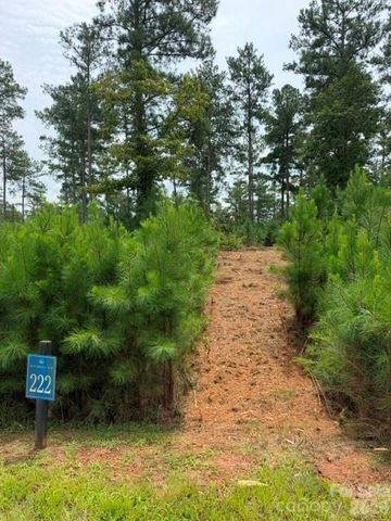 0 Big View Lane 222, Granite Falls, NC 28630