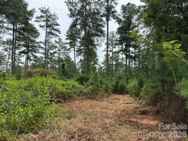 0 Big View Lane 222, Granite Falls, NC 28630