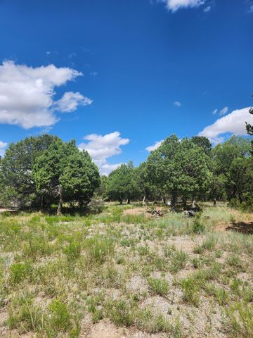 57 Ballinger Ranch Road, Edgewood, NM 87015
