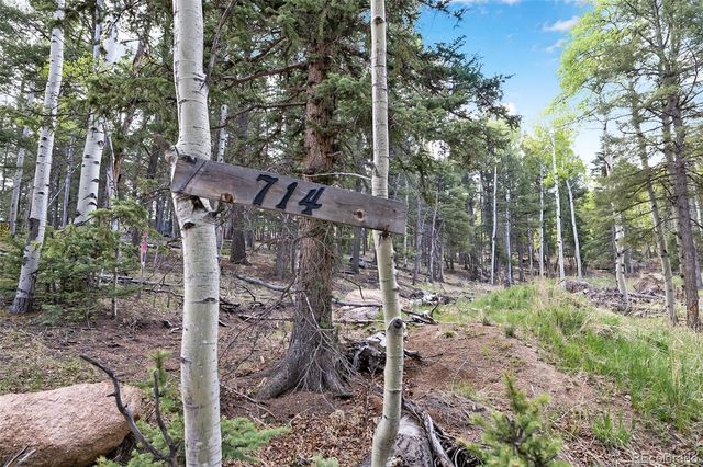 714 Will Stutley Drive, Divide, CO 80814