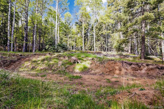 714 Will Stutley Drive, Divide, CO 80814