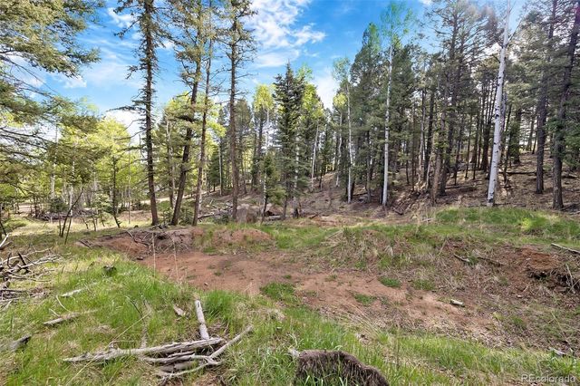 714 Will Stutley Drive, Divide, CO 80814