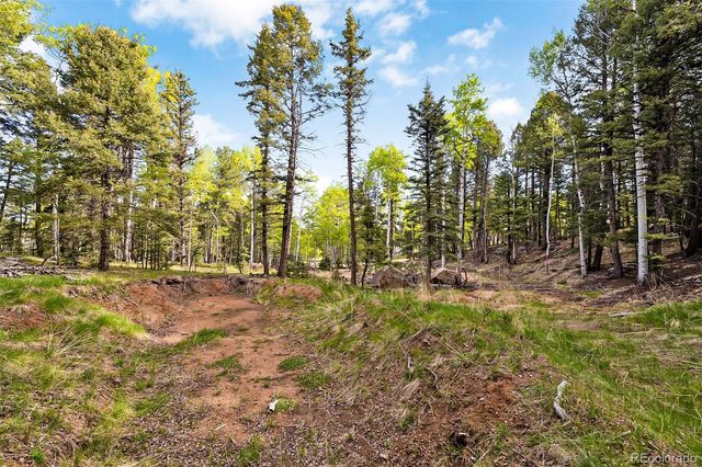714 Will Stutley Drive, Divide, CO 80814
