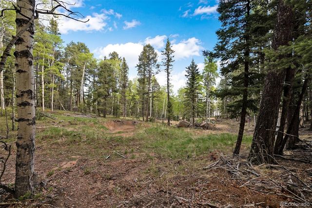 714 Will Stutley Drive, Divide, CO 80814