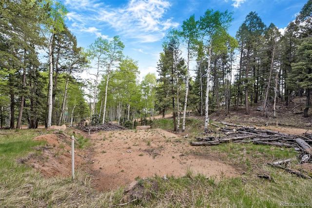 714 Will Stutley Drive, Divide, CO 80814