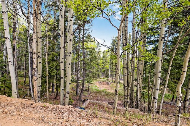 714 Will Stutley Drive, Divide, CO 80814