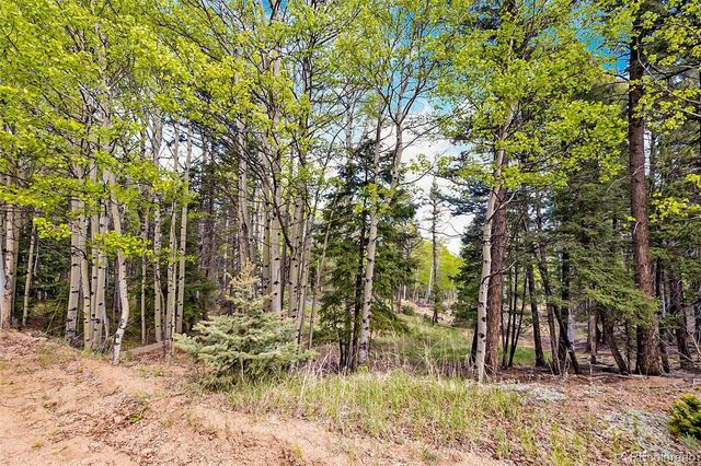 714 Will Stutley Drive, Divide, CO 80814