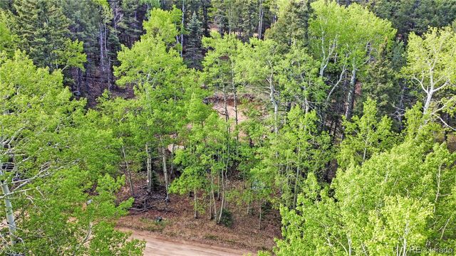714 Will Stutley Drive, Divide, CO 80814