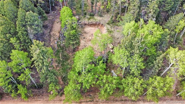 714 Will Stutley Drive, Divide, CO 80814