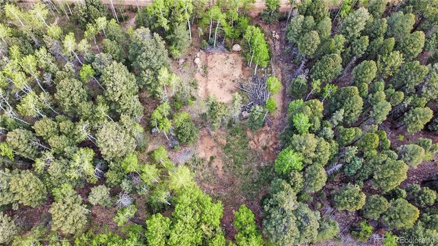 714 Will Stutley Drive, Divide, CO 80814