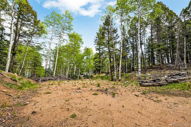 714 Will Stutley Drive, Divide, CO 80814