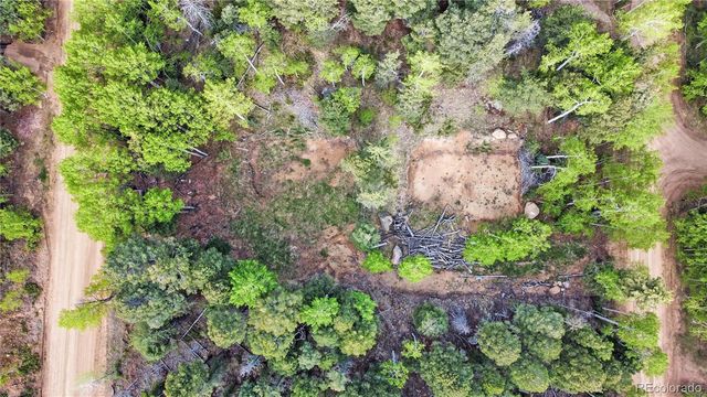714 Will Stutley Drive, Divide, CO 80814