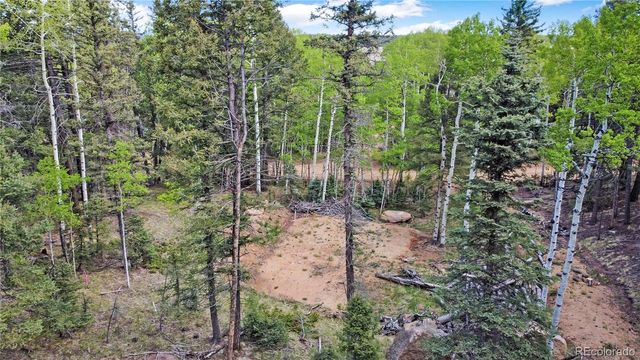714 Will Stutley Drive, Divide, CO 80814