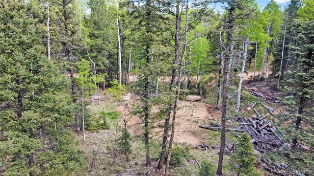 714 Will Stutley Drive, Divide, CO 80814