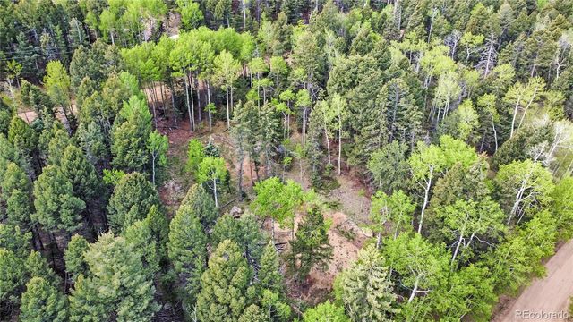 714 Will Stutley Drive, Divide, CO 80814