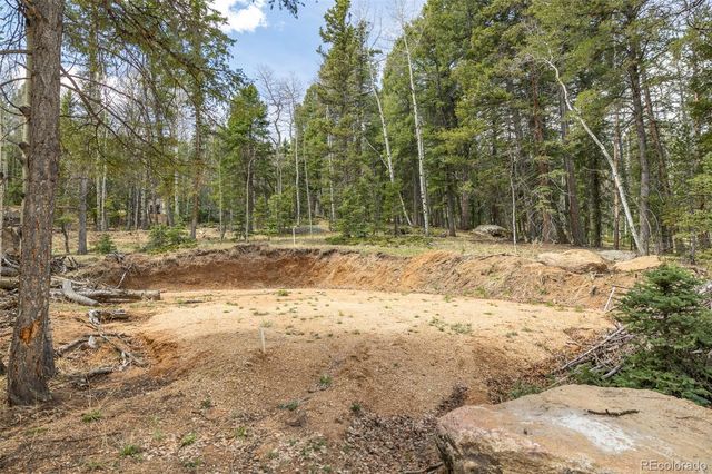 714 Will Stutley Drive, Divide, CO 80814