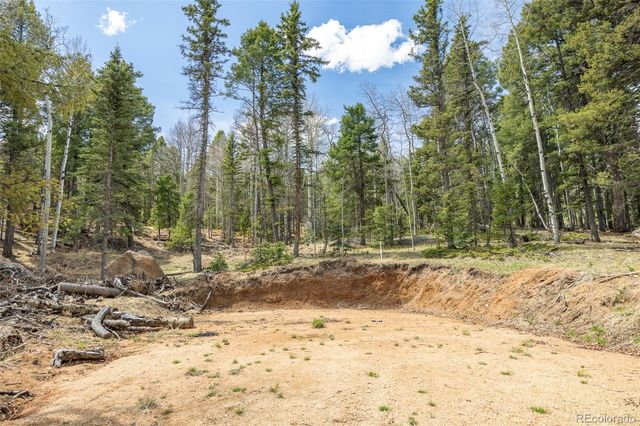 714 Will Stutley Drive, Divide, CO 80814