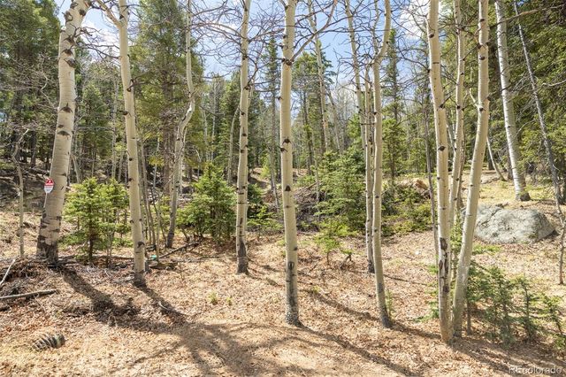 714 Will Stutley Drive, Divide, CO 80814