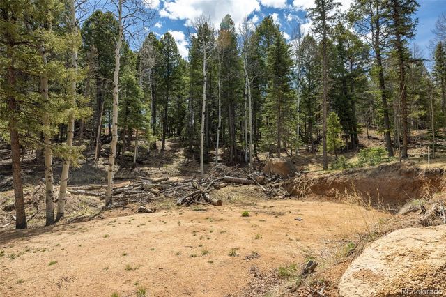 714 Will Stutley Drive, Divide, CO 80814