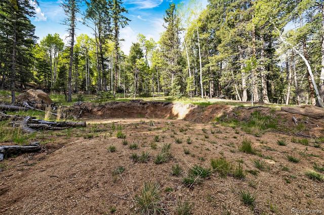 714 Will Stutley Drive, Divide, CO 80814