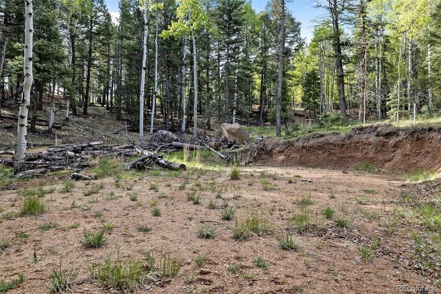 714 Will Stutley Drive, Divide, CO 80814