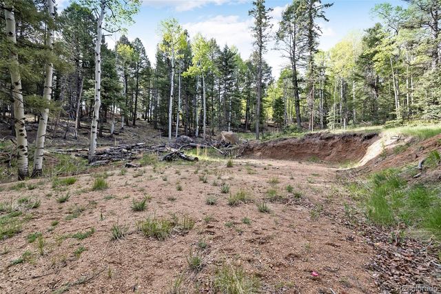 714 Will Stutley Drive, Divide, CO 80814