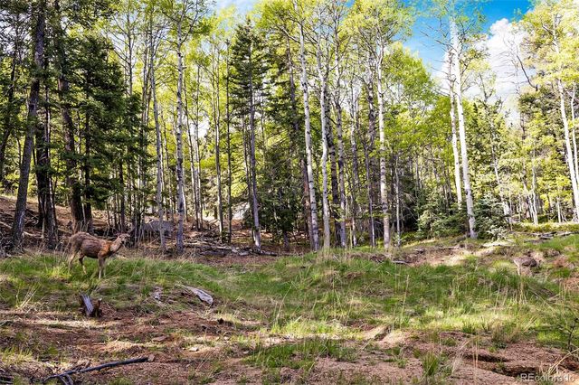 714 Will Stutley Drive, Divide, CO 80814