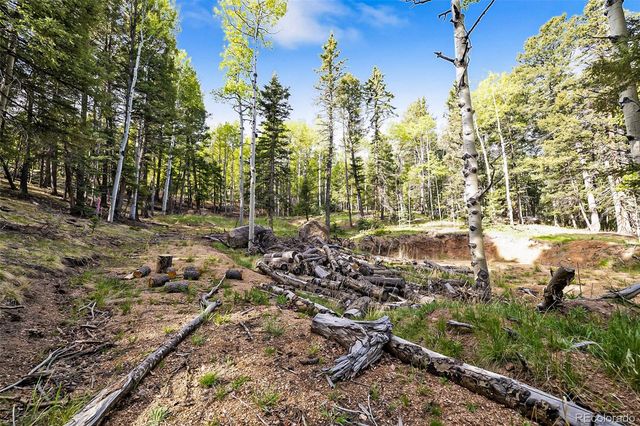 714 Will Stutley Drive, Divide, CO 80814