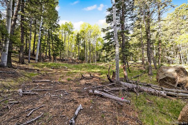 714 Will Stutley Drive, Divide, CO 80814