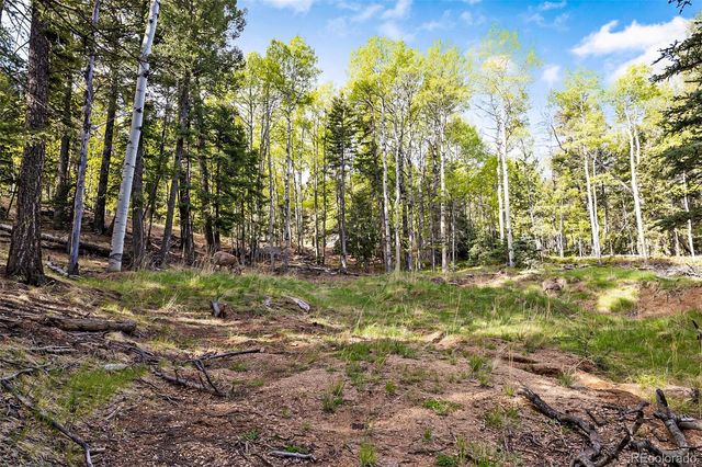 714 Will Stutley Drive, Divide, CO 80814