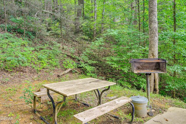 1046 Cheshire Court, Gatlinburg, TN 37738