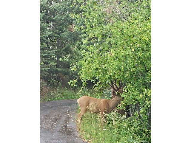 19184 Silver Ranch Rd, Conifer, CO 80433
