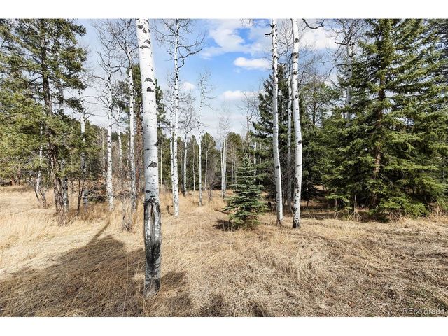 19184 Silver Ranch Rd, Conifer, CO 80433