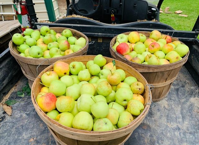 11990 Doty Drive, Conroe, TX 77303