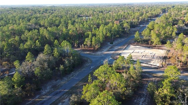 2959 W Admiral Lane, Citrus Springs, FL 34433