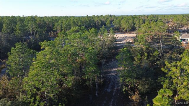 2959 W Admiral Lane, Citrus Springs, FL 34433