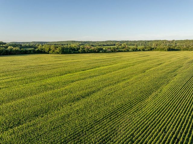 TBD 231st Street, Easton, KS 64020