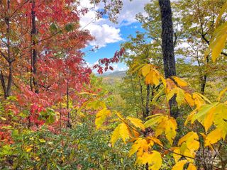 57 Grouse Ridge Drive, Black Mountain, NC 28711