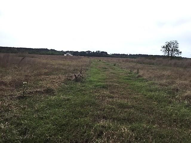 509 County Road 2285, Cleveland, TX 77327