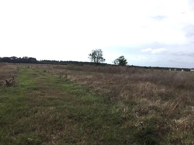 509 County Road 2285, Cleveland, TX 77327