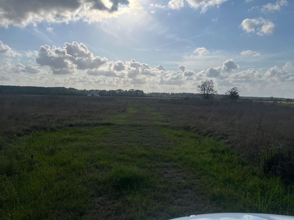 509 County Road 2285, Cleveland, TX 77327