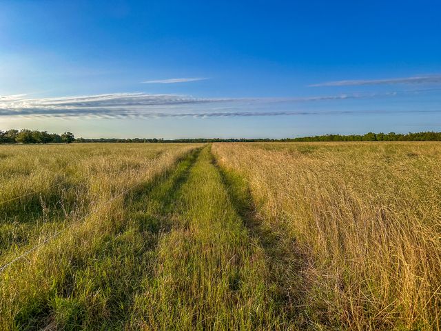 0 CR 2245, Ivanhoe, TX 75447