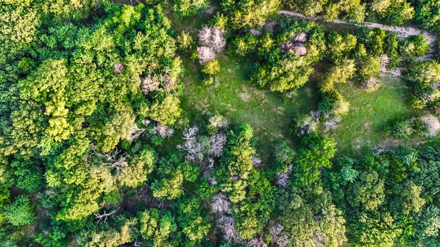 0 CR 2245, Ivanhoe, TX 75447