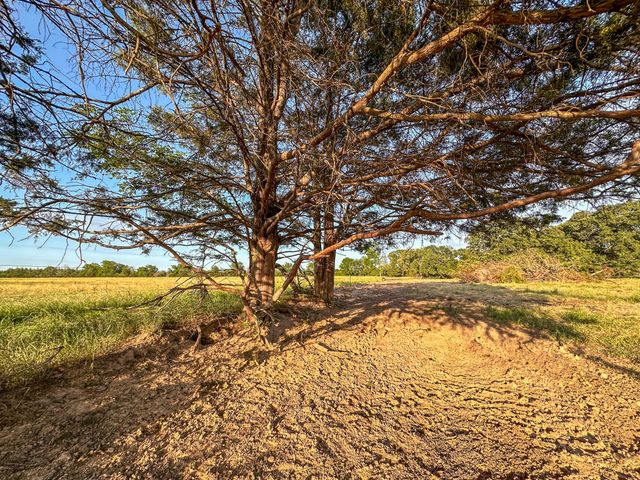 0 CR 2245, Ivanhoe, TX 75447