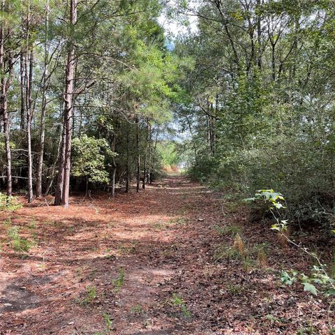 29340 Clydesdale Drive, Waller, TX 77484