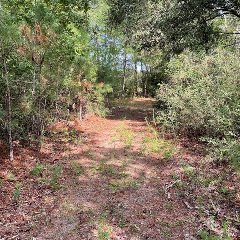 29340 Clydesdale Drive, Waller, TX 77484